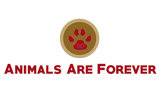 Animals Are Forever