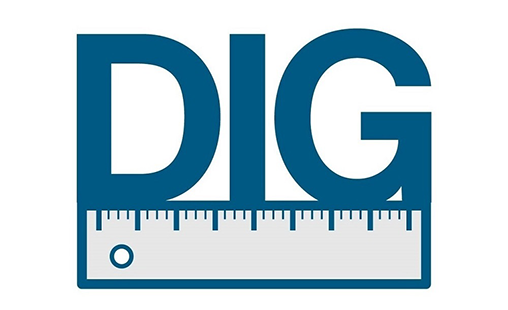 Design Insight Group Logo